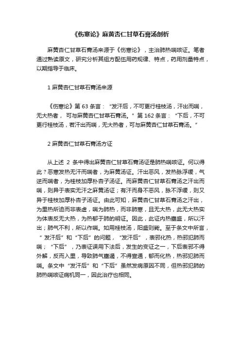 《伤寒论》麻黄杏仁甘草石膏汤剖析