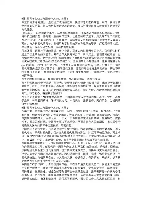 新时代青年的使命与担当作文