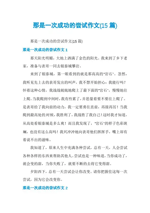 那是一次成功的尝试作文(15篇)