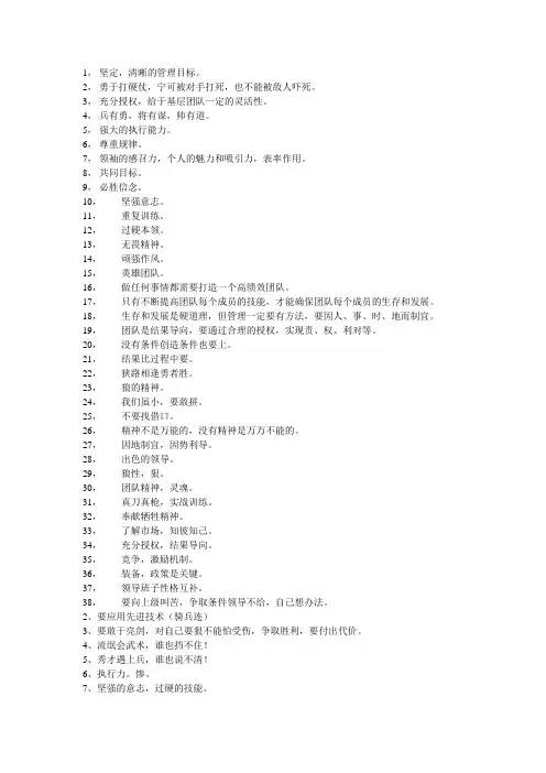 亮剑精神