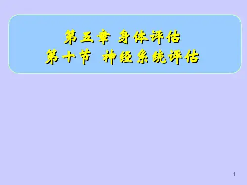 第十节 神经系统评估