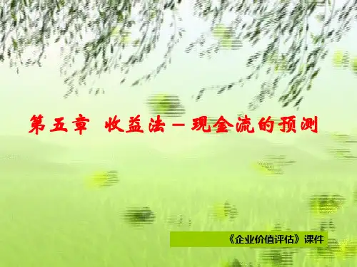5第五章  收益法-现金流的预测