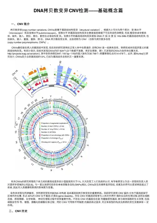 DNA拷贝数变异CNV检测——基础概念篇