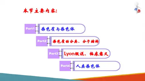 遗传的细胞学基础—染色质与染色体