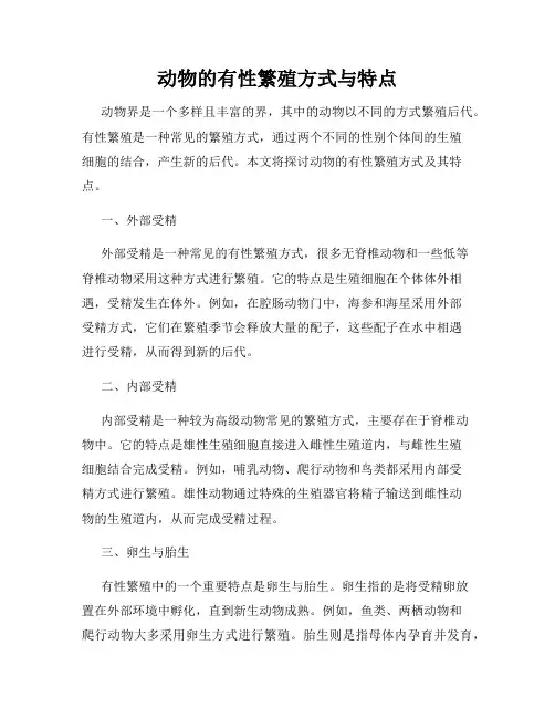 动物的有性繁殖方式与特点