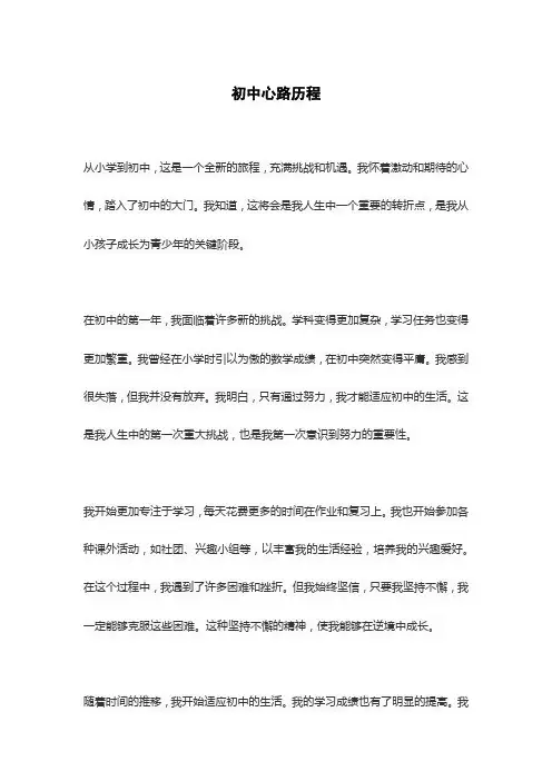 初中心路历程