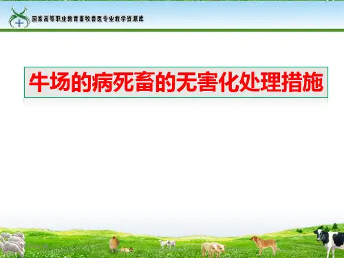 牛场病死畜的无害化处理措施PPT课件
