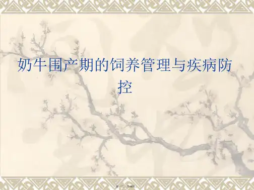 奶牛围产期饲养管理与疾病