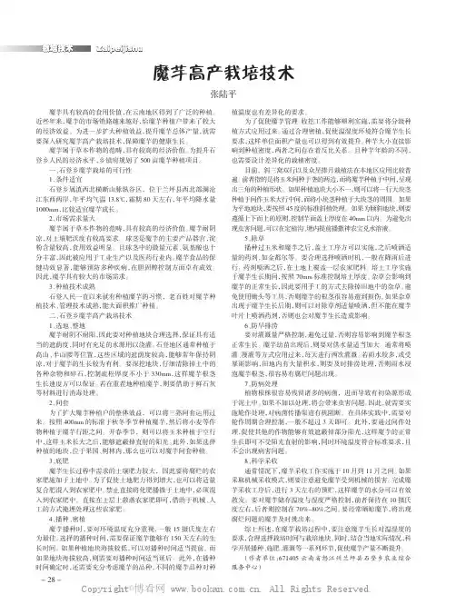 魔芋高产栽培技术