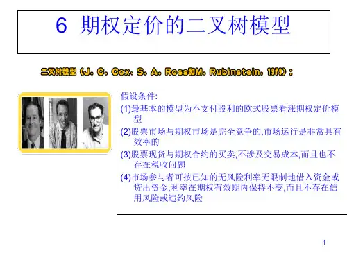 期权定价的二叉树模型介绍PPT课件( 24页)