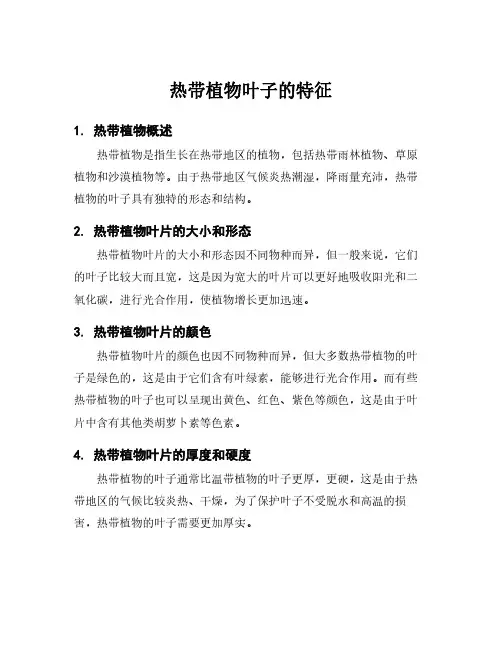 热带植物叶子的特征