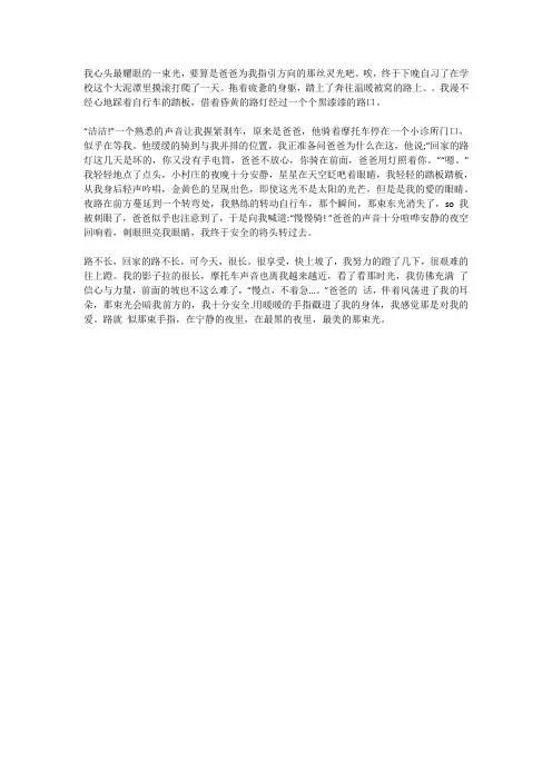 爸爸你是我心里的那束光初中作文600字