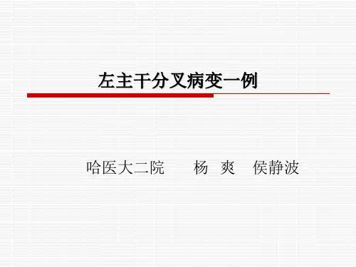 左主干分叉病变一例课件
