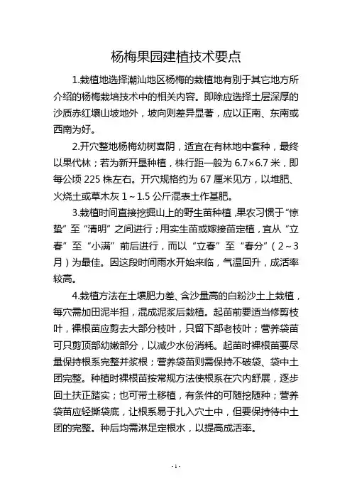 杨梅果园建植技术要点