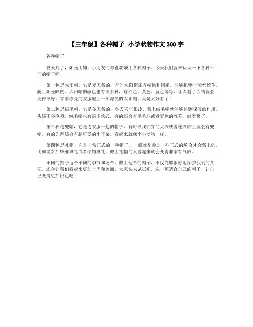 【三年级】各种帽子 小学状物作文300字