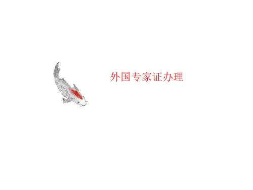 外国专家讲义证办理