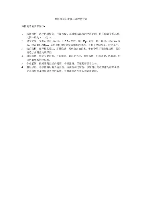 种植葡萄的步骤与过程是什么