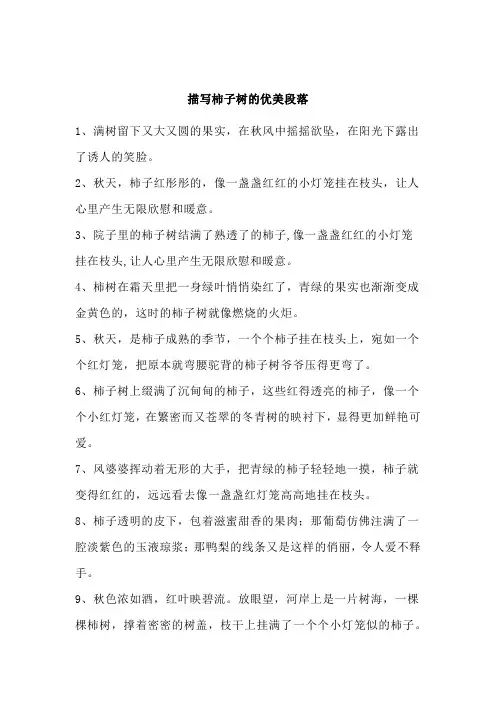 描写柿子树的优美段落