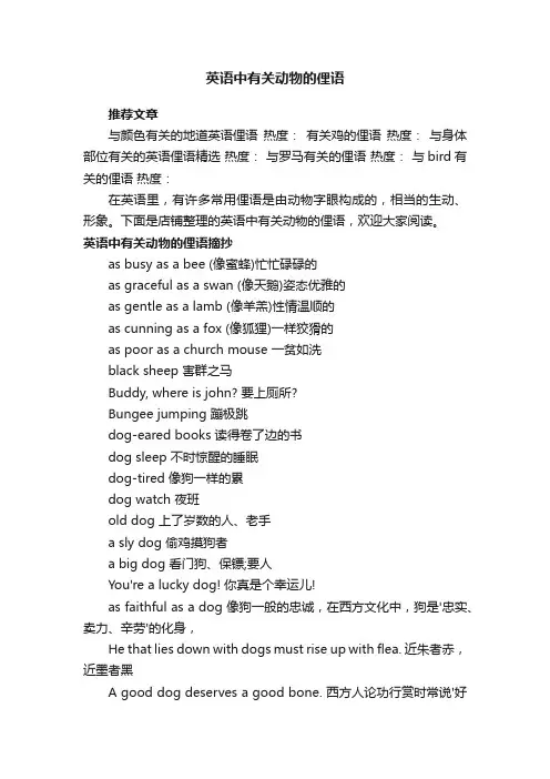 英语中有关动物的俚语
