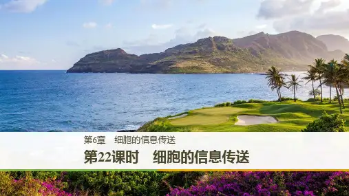 细胞的信息传递ppt课件