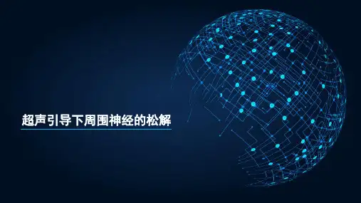 超声引导下周围神经的松解PPT课件