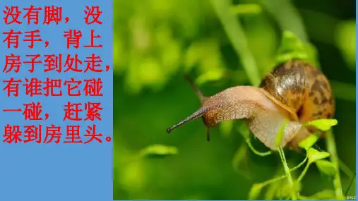 【人教部编版小学语文】小蜗牛PPT公开课课件1