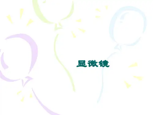 光学显微镜原理课件