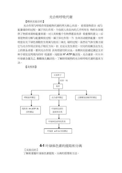 叶绿体色素的提取分离及其理化性质的鉴定实验