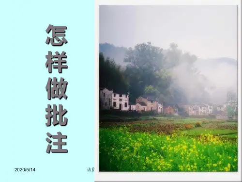 怎样做批注ppt课件