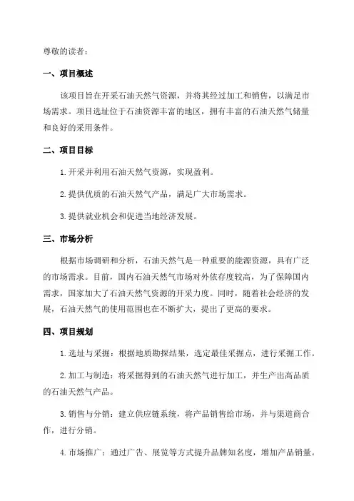 2024年优秀石油天然气开采项目商业计划书