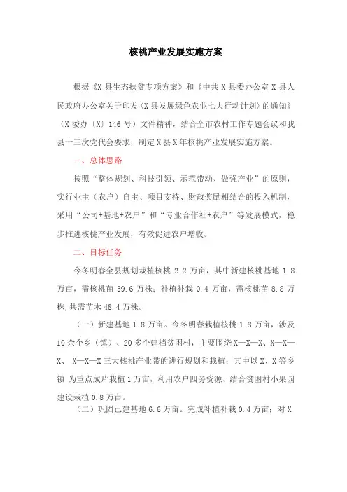 核桃产业发展实施方案