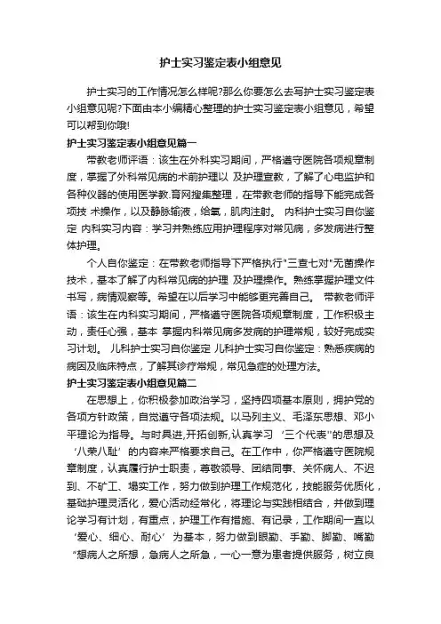 护士实习鉴定表小组意见