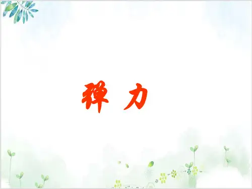 物理必修1人教版弹力(14页)(14张)-PPT优秀课件