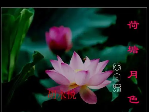 《荷塘月色》第二课时