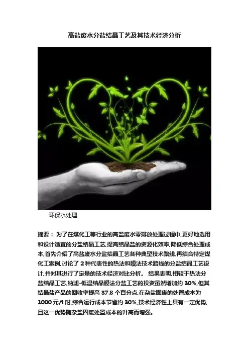 高盐废水分盐结晶工艺及其技术经济分析