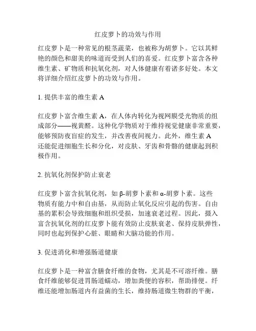 红皮萝卜的功效与作用