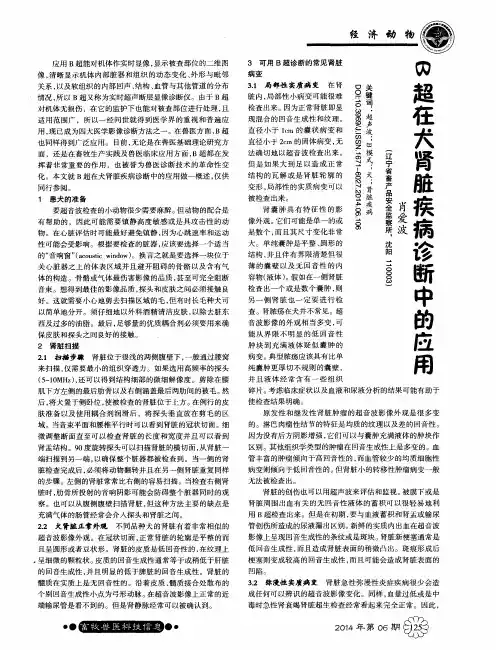 B超在犬肾脏疾病诊断中的应用