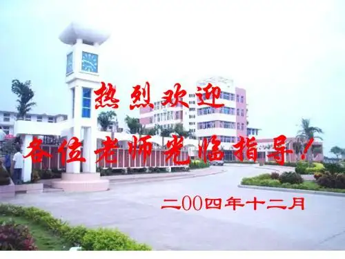 犟龟