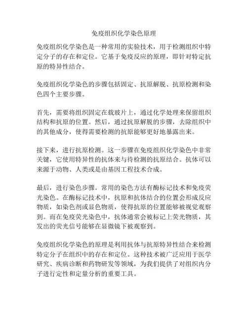 免疫组织化学染色原理