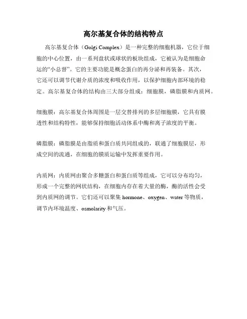 高尔基复合体的结构特点