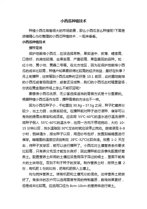 小西瓜种植技术