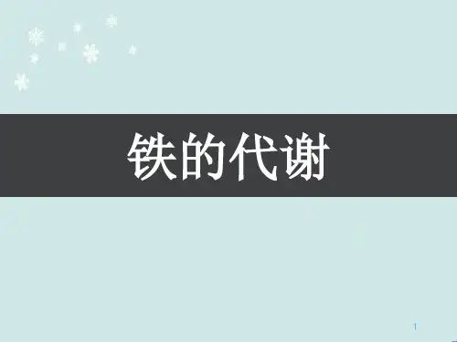 铁的代谢  PPT幻灯片