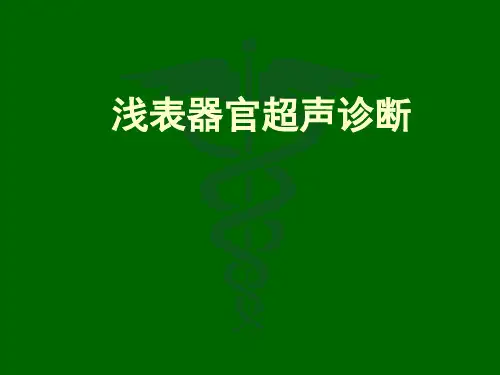 浅表器官超声诊断