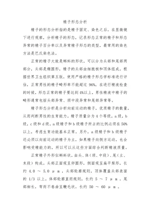 精子形态分析
