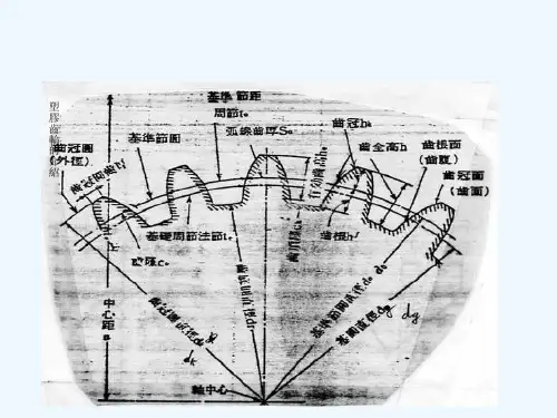 齿轮模具设计及重点