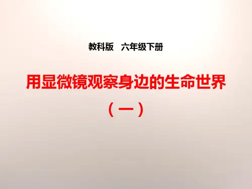《用显微镜观察身边的生命世界(一)》微小世界课件PPT