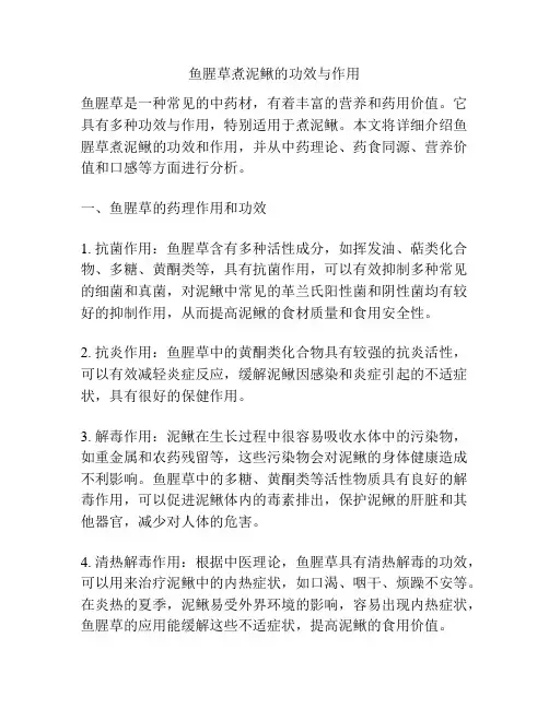 鱼腥草煮泥鳅的功效与作用