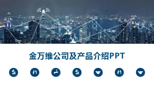 金万维公司及产品介绍PPT