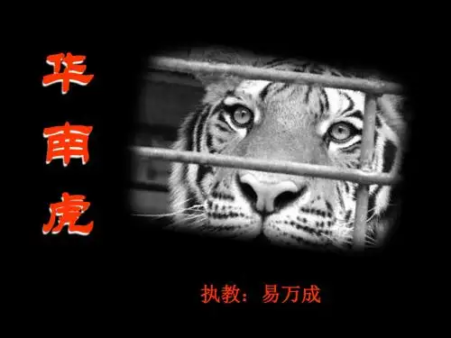 华南虎PPT59 人教版 (共16张PPT)
