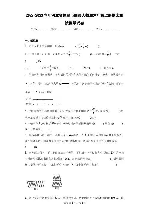2022-2023学年河北省保定市唐县人教版六年级上册期末测试数学试卷(含答案解析)